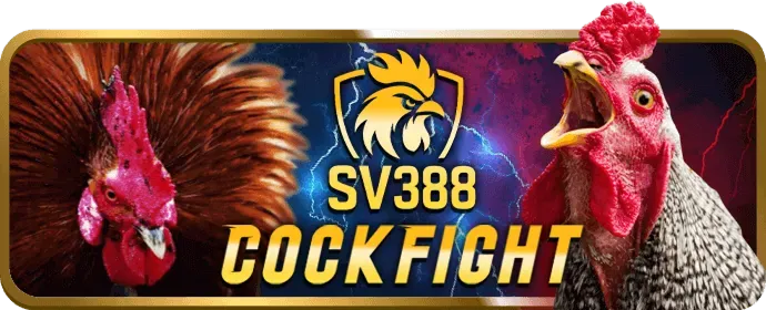 Đá gà trực tiếp 18win3